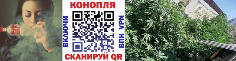 Бошки Шишки White Widow  omg сайт  Ряжск 